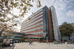 University of Sheffield